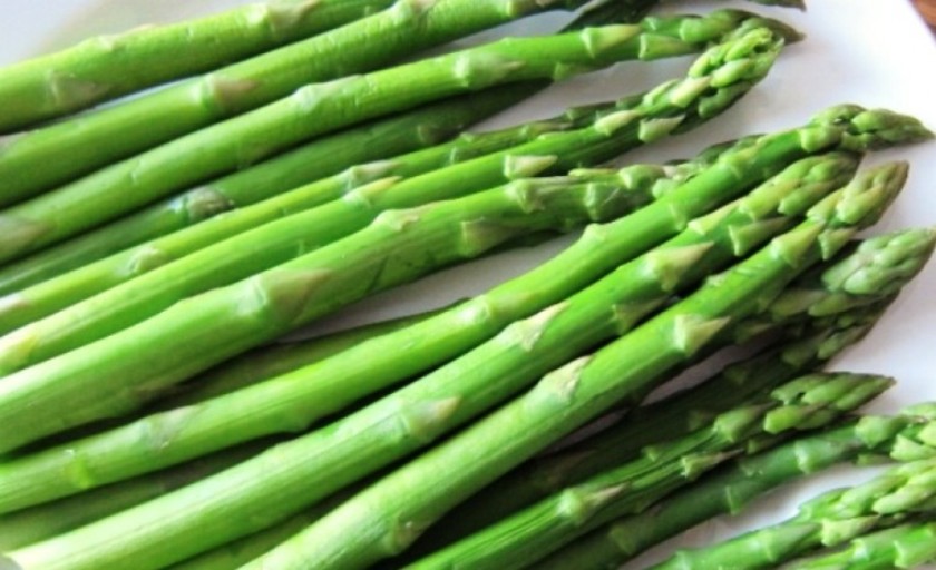 कुरिलोको टुसा बिक्री नहुँदा किसान चिन्तित